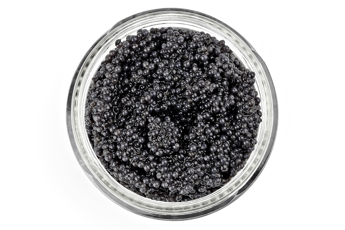 Caviar Royal