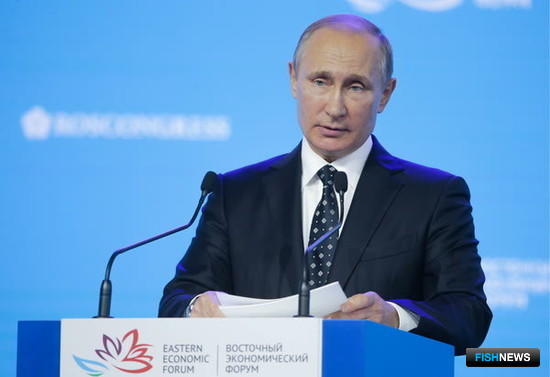 Владимир Путин: Доступ к ресурсам – через вложения в переработку