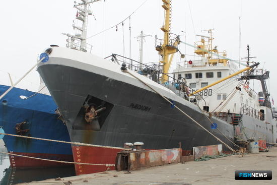Президент поручил заняться крымским флотом