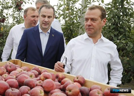 Дмитрий Медведев ждет законопроекта об органической продукции