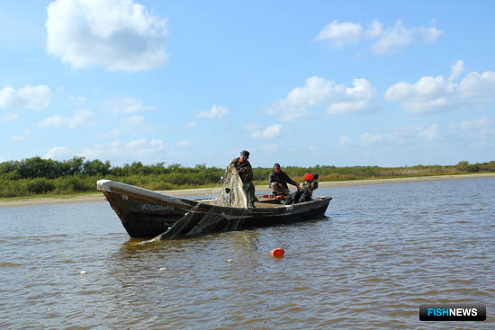 Рыбаки предлагают дополнительные ограничения по Амуру