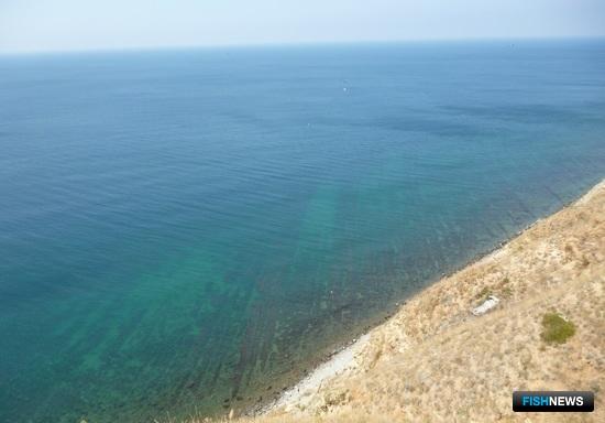 Ученые отмечают «водорослевые» перспективы Черного моря