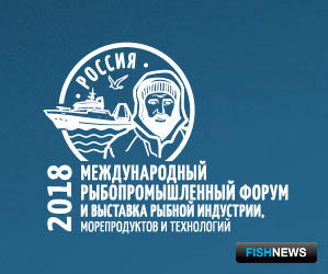 ВАРПЭ готовится к Международному рыбопромышленному форуму в Санкт-Петербурге