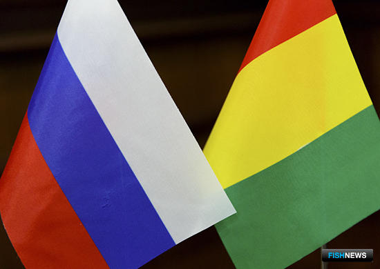 Россия и Гвинея подпишут «рыбное» соглашение