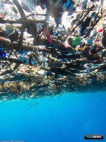 Китайские ученые «подружили» пластик с морем