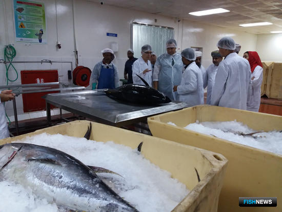Рыба Омана хочет на российский рынок