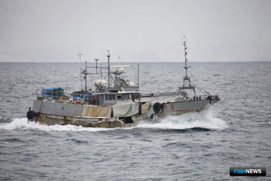 Закон о браконьерском флоте прошел Госдуму