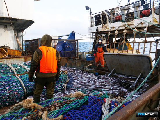 Рыбаки готовятся к обсуждению отраслевого соглашения