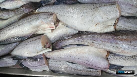 Россия обновит список поставщиков рыбных товаров для КНР