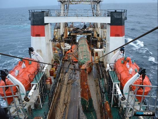 Российские рыбаки преодолели планку в 4 млн тонн