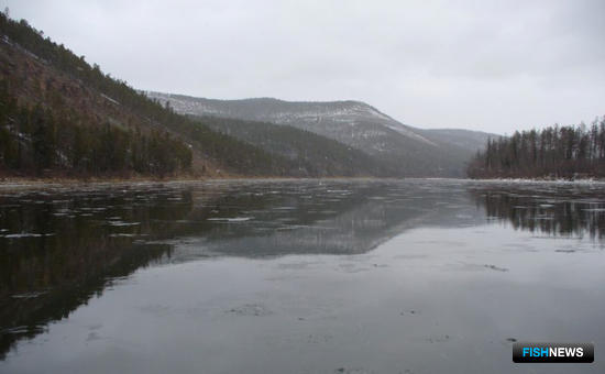 Две нерестовые реки Хабаровского края защитят режимом ООПТ