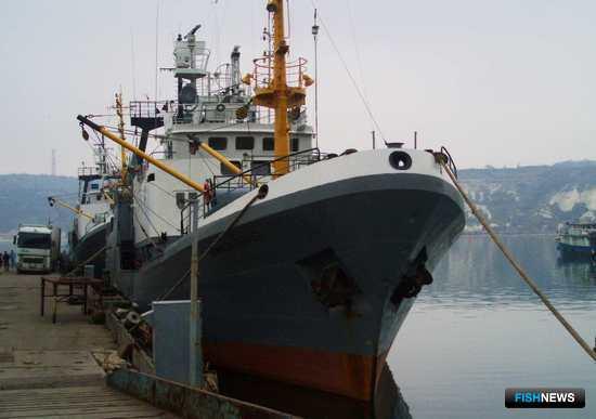 Рыбопромышленники Крыма хорошо начали год