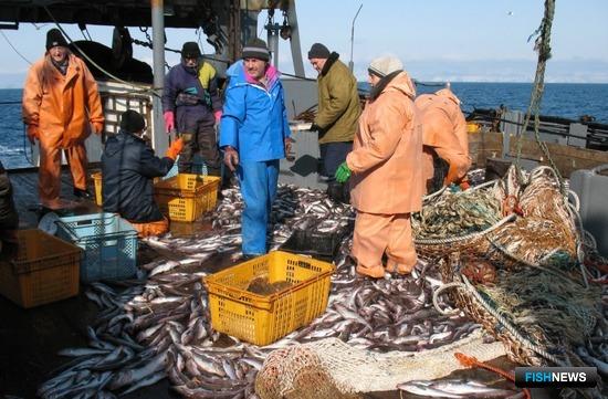 Рыбаки против экспериментов с отраслевыми НИСами