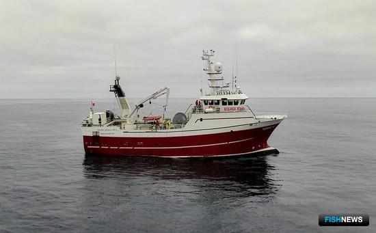 Ученые собрали новый материал по лососям Аляски