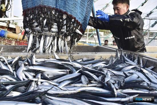 Рыбопромышленникам Японии помогает искусственный интеллект