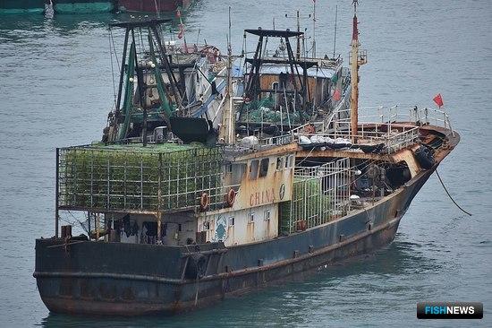 США задумались об антикитайской «рыбной» коалиции