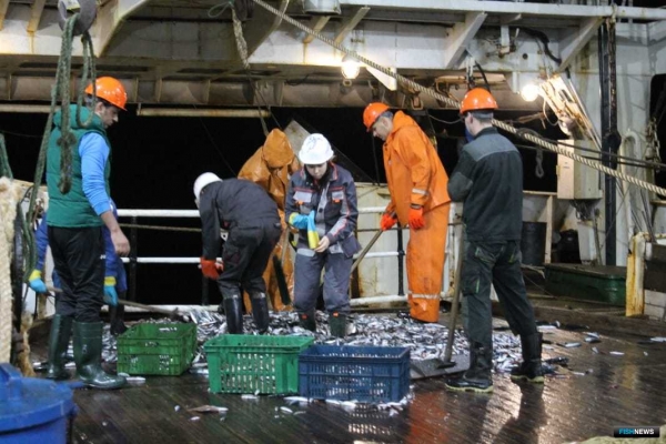 Ученые собрали данные о рыбных запасах в районе Марокко