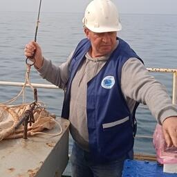 Наука оценит рыбные запасы у побережья Крыма