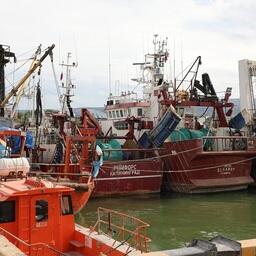 Дагестан принял программу развития рыбной отрасли