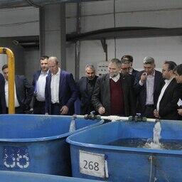 Россия и Иран готовят план «рыбного» сотрудничества на год