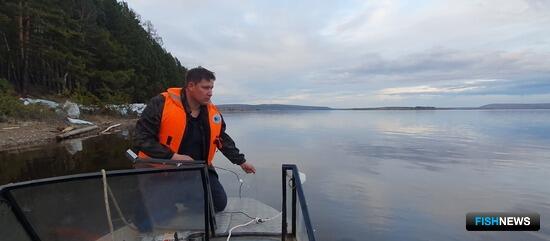 Наука вернулась к обитателям сибирских рек
