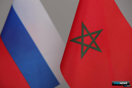 Квоты в зоне Марокко разделили между компаниями