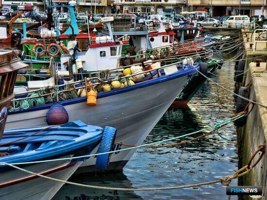 Продление «рыбного» соглашения ЕС и Марокко под угрозой