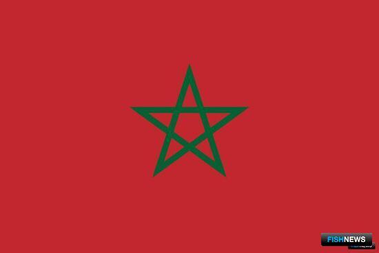 Япония поможет Марокко в развитии аквакультуры