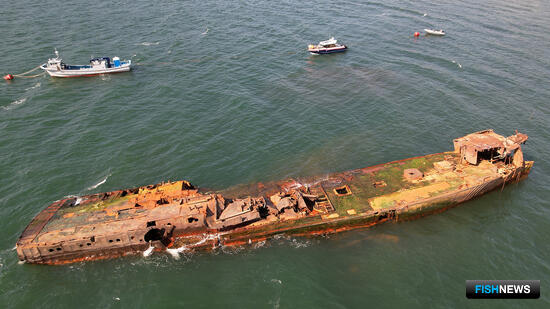 Нагаевскую бухту очищают от «подводного флота»