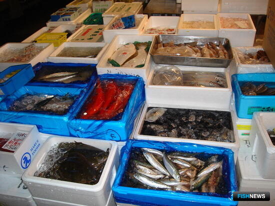 Власти Японии хотят подтолкнуть рыбаков искать новые ниши