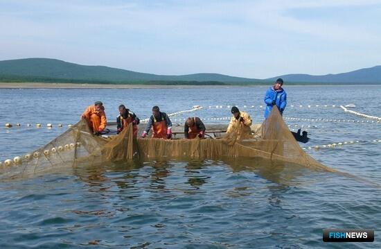 Сенатор и ассоциация Приморья продолжат работу над законодательством по рыболовным участкам
