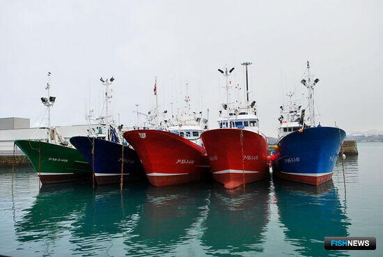 Фронт Полисарио обещал собственные лицензии рыбакам ЕС