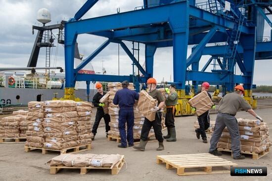 В программу субсидирования перевозок по Севморпути включили новые порты