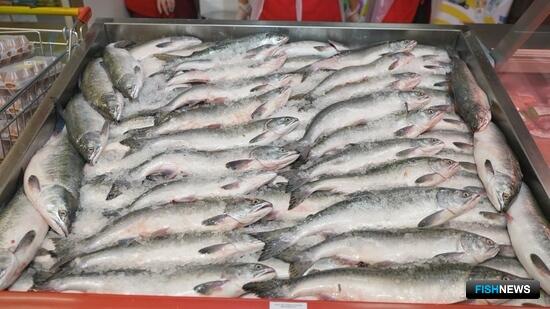 Новые возможности рыбных поставок пробует Камчатка