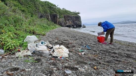 Специалисты ТГУ занялись пластиком в Японском море