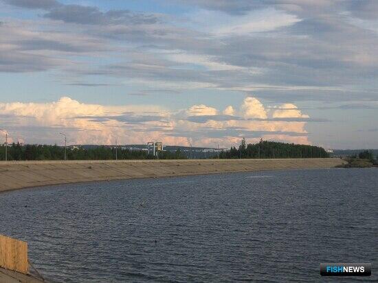 Участки на Усть-Илимском водохранилище предлагают промысловикам