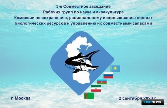 Прикаспийские страны сверили подходы к управлению рыбными запасами