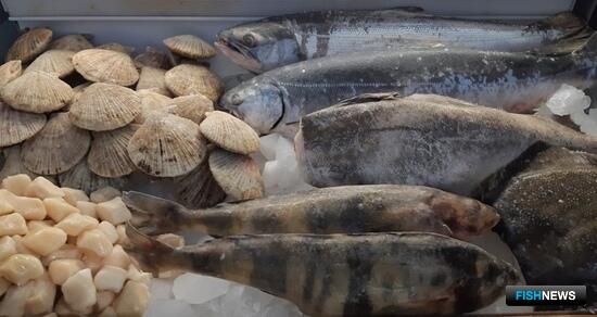 Россия увеличивает поставки рыбы за границу