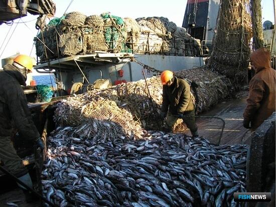 Минсельхоз утвердил рыбный ОДУ на 2024 год
