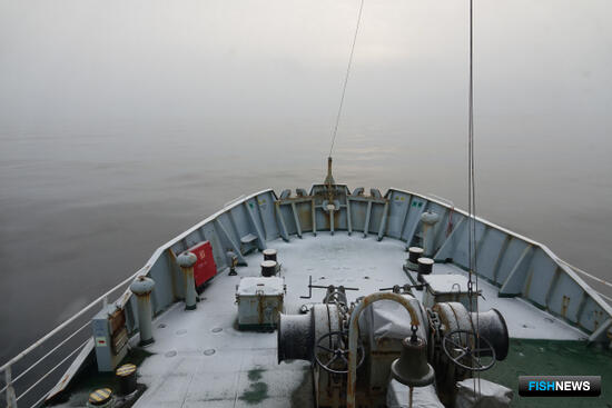 Наука мониторит рыбные запасы Северного бассейна