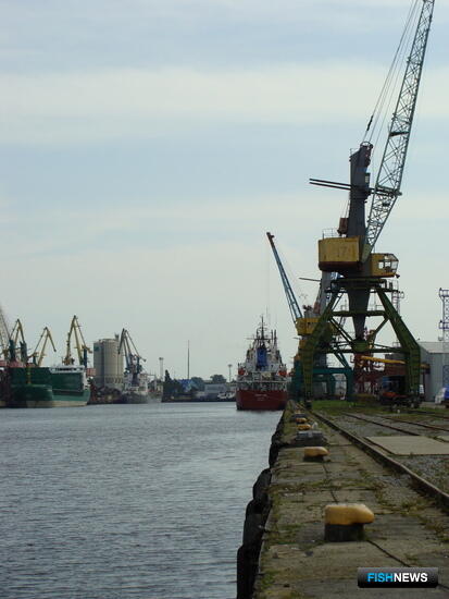 Калининградские промысловики прибавили в конвенционных районах