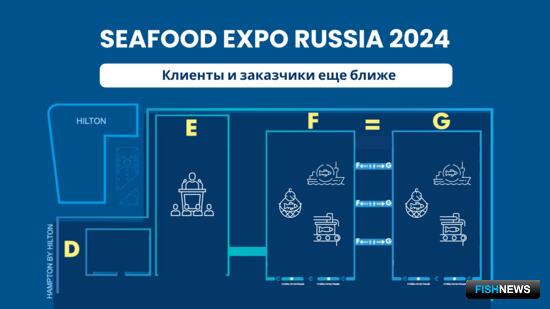 Seafood Expo Russia оптимизирует экспозицию