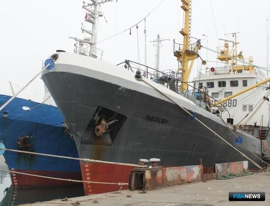 Для рыбаков Крыма предусмотрели особый порядок ведения рыболовного журнала