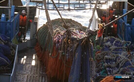 Рыбакам ответили на вопросы об ЭРЖ и разрешениях на вылов
