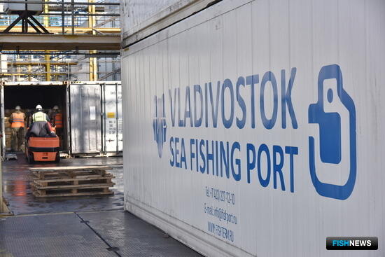 Владморрыбпорт прокомментировал ситуацию с причалами во Владивостоке
