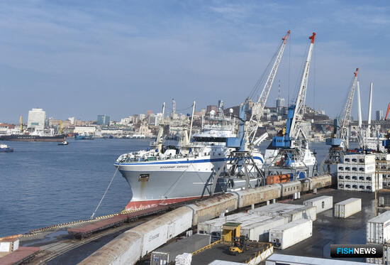 Владморрыбпорт прокомментировал ситуацию с причалами во Владивостоке