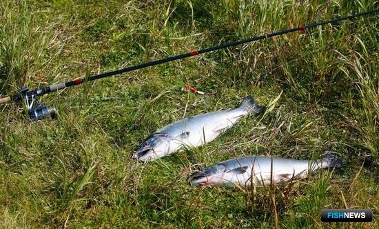 Новая ассоциация должна помочь в решении вопросов любительской рыбалки на Камчатке