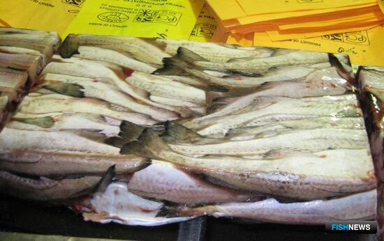 Китай вернул лидерство среди импортеров дальневосточной рыбы
