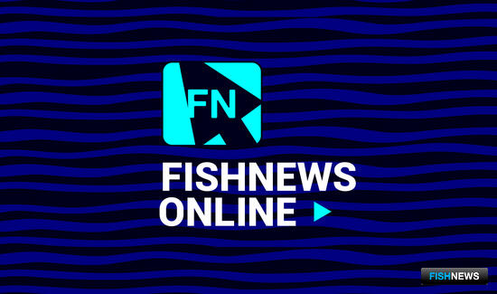 Сахалинские рыбаки активно ловят навагу