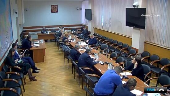 Поправки по срокам вычетов за ВБР поддержал профильный комитет Госдумы